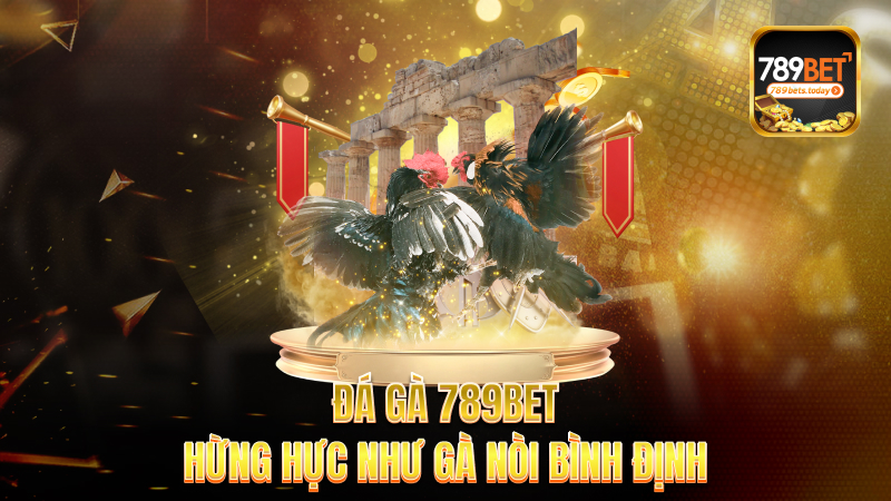 Đá gà 789bet – Hừng hực như gà nòi Bình Định